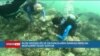 İklim değişikliği ve okyanusların ısınması mercan resiflerini tehdit ediyor
