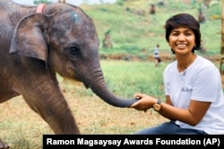 This undated photo provided by the Ramon Magsaysay Award Foundation shows Farwiza Farhan of Indonesia, the 2024 recipient of the Ramon Magsaysay Award for Emerging Leaders, sitting next to an elephant. (Ramon Magsaysay Awards Foundation via AP)