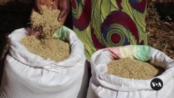 Malawi farmers learn food diversification to curb hunger