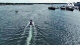 Рибари во САД се префрлаат на одгледување морски алги