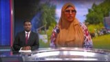  Kaalinta Soomaalida Netherlands ee siyaasadda dalka, 