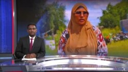  Kaalinta Soomaalida Netherlands ee siyaasadda dalka, 