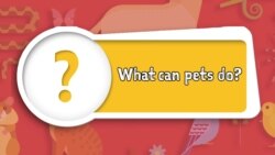 Apprenons l’anglais avec Anna, épisode 16: "What can Pets Do?"