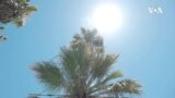 Климатските промени се голем фактор во екстремно топлотните бранови