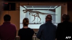 A picture of "Trinity" is seen during sale of the skeleton of the Tyrannosaurus rex by Koller auction house in Zurich, on April 18, 2023.