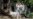 16x9 Image