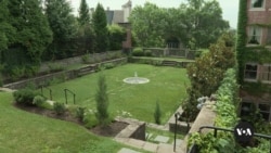 Historic Washington garden gets eco-friendly makeover 