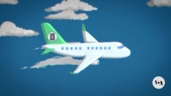 Визуелно објаснување: Авиони на гориво од растенија