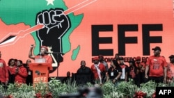 Leader de l'EFF (gauche radicale), Julius Malema a semblé rejeter l'idée de former un gouvernement d'unité nationale avec l'ANC.