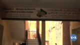 koronyanfan maraw binkanni sen fɛ san 2012, bololasɛbɛn mara kecogo