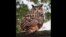 Eurasian Owl Still on the Fly a Year After Escaping New York Zoo