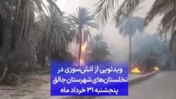 ویدئویی از آتش‌سوزی در نخلستان‌های شهرستان جالق پنجشنبه ۳۱ خرداد ماه