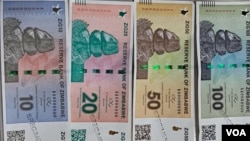 ZIG currency notes