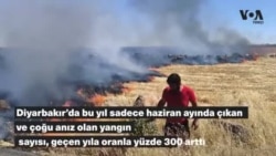 Diyarbakır’da yangın sayısı geçen yıla oranla yüzde 300 arttı 