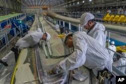 Employees work on a wind turbine blade at the Adani New Industries Limited in the port town of Mundra in Western India's Gujarat state, India, Wednesday, Sept. 20, 2023. (AP Photo/Rafiq Maqbool)