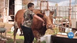 Front yaqinidagi ukrainlar: Yerimizni tashlab ketolmaymiz