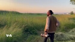 Wedat Atli Bi Kamereya Xwe Nêçîra Wêneyên Çûk Û Ajelan Dike