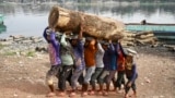 Laborers carry a log of wood from a cargo boat near the Buriganga river in Dhaka, Bangladesh.