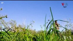 نیویارک کې د اوکراین د خبریالانو د اتحادیې غونډه