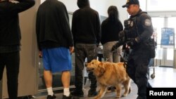 El oficial de Aduanas y Protección Fronteriza Joseph Arcia y su compañero Goose, un golden retriever de seis años, patrullan el tráfico que llega desde México mientras trabajan a lo largo de la frontera de San Ysidro en San Diego, California, EEUU, el 29 de mayo de 2024. 