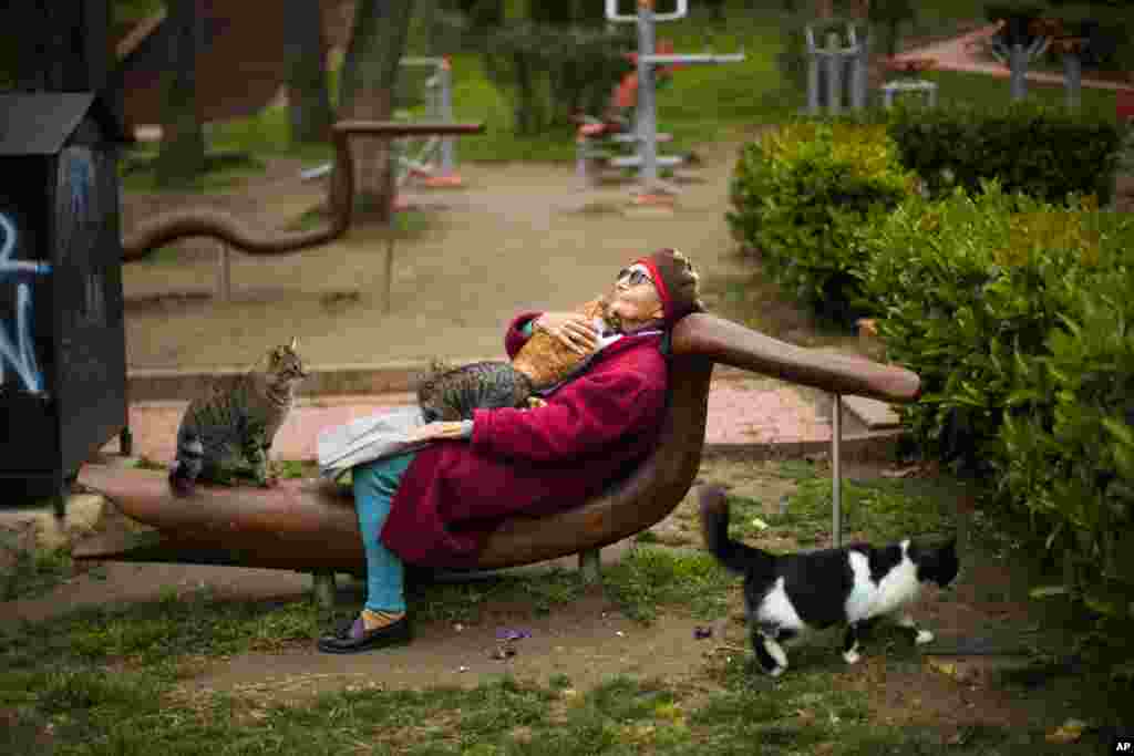 Cats lie on&nbsp;Tiraje Kestelli&nbsp;at Macka park in Istanbul, Turkey. Kestelli said she knew the names of every single cat that surrounded her and fed them food every single day.&nbsp;