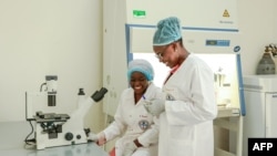 Winners of the L'Oréal-UNESCO Young Talent Prize for Women in Science Sabine Adeline Fanta Yadang, 32, (R) and Hadidjatou Daïrou, 33, (C) work in a research laboratory at the Institute of Medical Research and Medicinal Plant Studies in Yaounde on November 23, 2023.