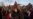 Hundreds Dance In Bearskins For Romania’s 'Dancing Bear Festival'
