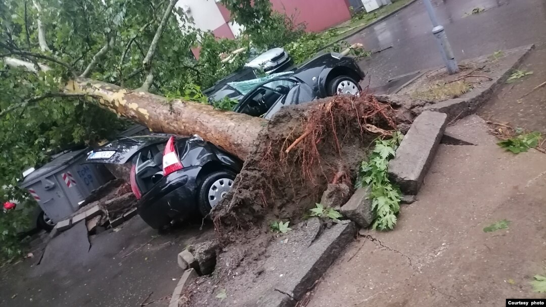 Posledice nevremena na Novom Beogradu (Foto: N1)