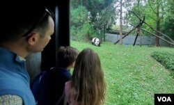 Un padre y sus hijos observan a través del cristal a uno de los osos pandas gigantes del Zoológico Nacional de Washington que se devolverá a China en diciembre.