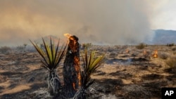 California Wild Fires