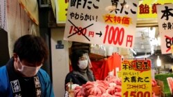 粵語新聞 晚上10-11點：日本考慮向世貿提出訴訟，抗議中國以核廢水排海為由禁止日本水產品進口