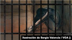 El periodista de El Salvador, Víctor Barahona, estuvo 11 meses detenido "por error". Ilustración Sergio Valencia / VOA.