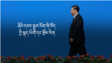 Tibetan Literature Under Xi's Rule.