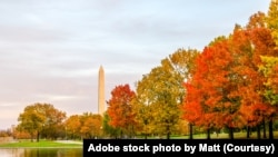Washington Monument in the Fall