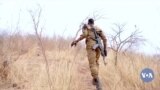 🇧🇫Burkina Faso Finitigi Dongilidala 