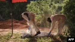 Wafanyikazi wakibeba maiti iliyofukuliwa huko Shakahola na kuipeleka kwenye chumba cha kuhifadhia maiti, terehe 25 Aprili 25, 2023. Picha na Yasuyoshi CHIBA / AFP.