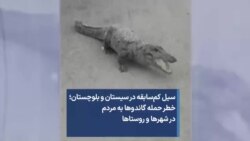 سیل کم‌سابقه در سیستان و بلوچستان؛ خطر حمله گاندوها به مردم در شهرها و روستاها