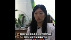 绿色和平组织：气候变化威胁中国文化遗产