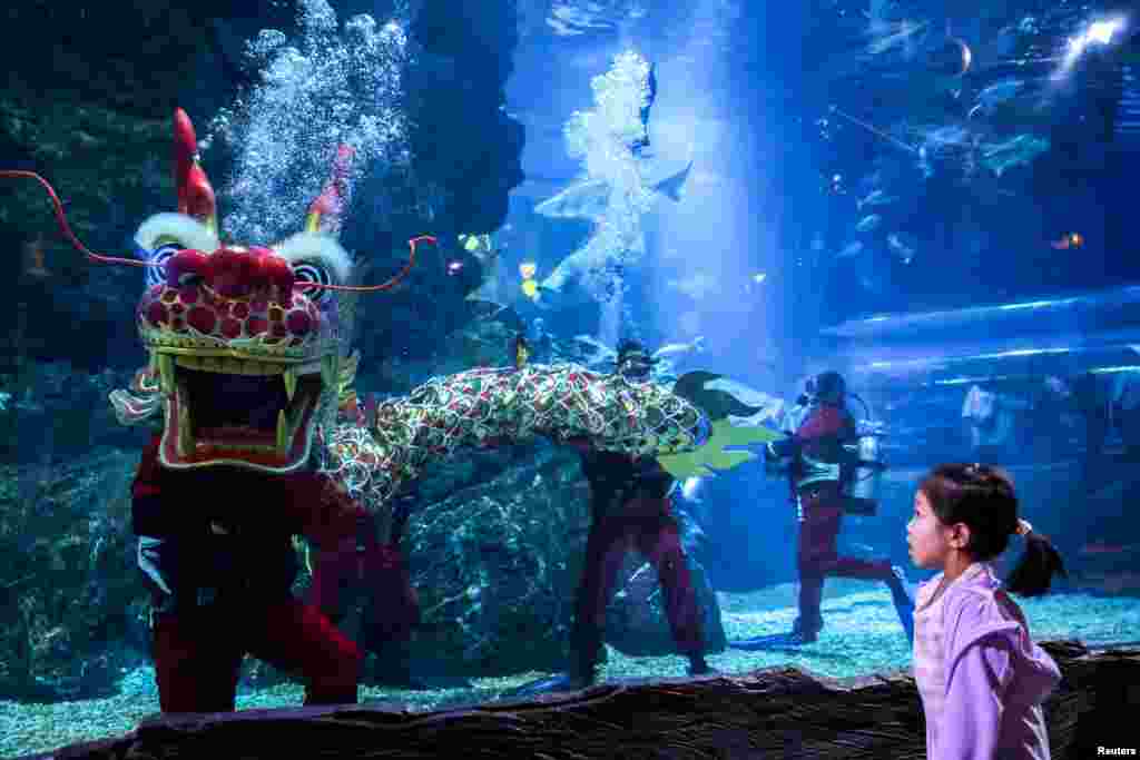 A girl looks at the divers performing a dragon dance ahead of the Lunar New Year celebration at the Sea Life Bangkok Ocean World aquarium in Bangkok, Thailand.