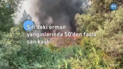 Şili’deki orman yangınlarında onlarca can kaybı