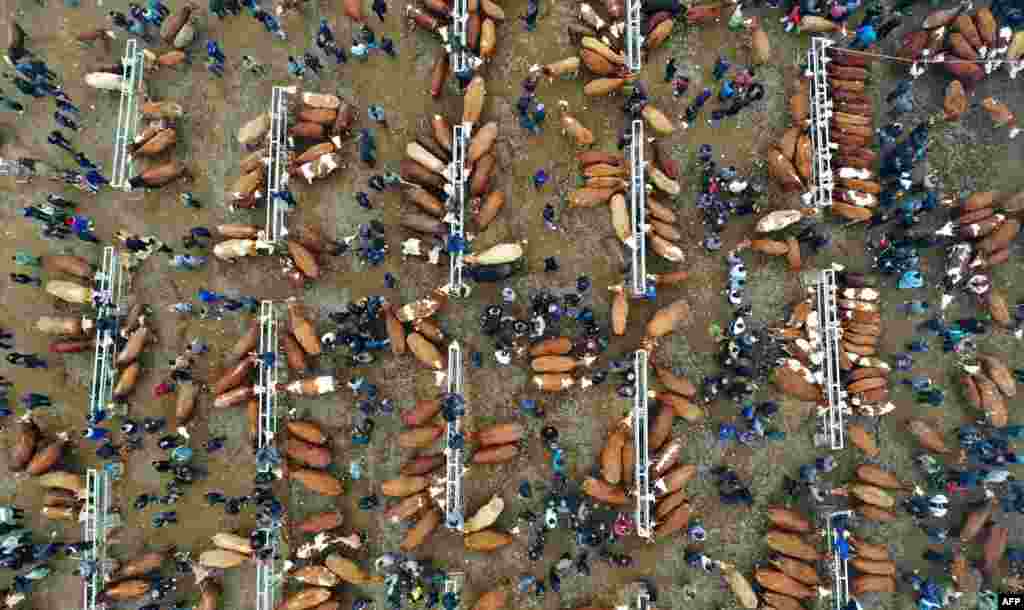 People visit a livestock market in Qianxinan Buyei and Miao Autonomous Prefecture, in China's southwestern Guizhou Province.