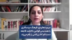 مریم دهکردی: فرهنگ مردسالاری با همدستی قوانین ناکارآمد فاجعه دست‌کم ۵۲ زن‌کشی را رقم می‌زند