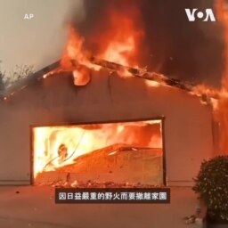 加州野火導致一個社區取消國慶煙花