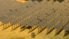 2023年7月12日江蘇泰州漁光互補光伏發電基地工人們檢查太陽能電池板