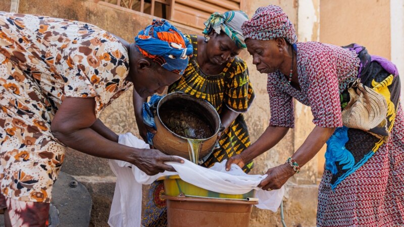 La transformation du karité, un espoir pour les Maliennes