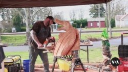 Chainsaw Artists Show Their Skills at Live Carving Event