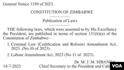 Mutemo weCriminal Law (Codification and Reform) Amendment Act unorambidza vana veZimbabwe kutaura zvakashata pamusoro penyika yavo nevekunze.