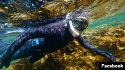Seorang penyelam menikmati keindahan alam bawah laut. (Facebook/bluebackfreediving)