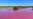 Wildlife Refuge Pond in Hawaii Turns Pink; Drought May Be to Blame