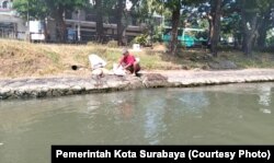 Seorang warga tampak sedang mencuci limbah rumen hewan kurban di sungai usai Idul Adha, di Surabaya, Jawa Timur, 29 Juni 2023. (Foto: Pemkot Surabaya)